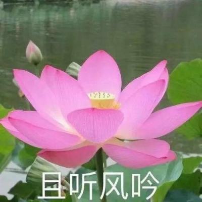 战姬少女h5手游下载